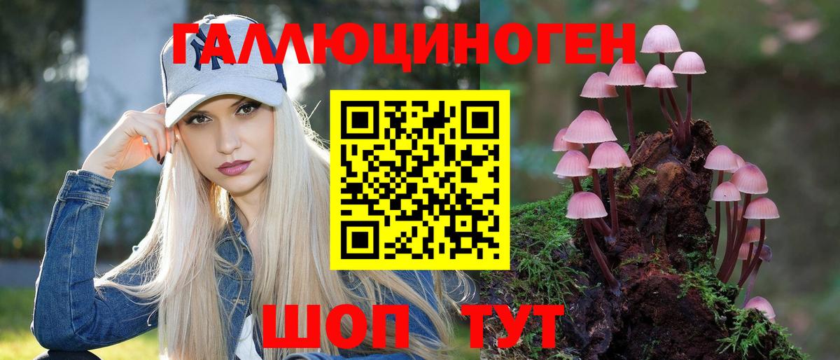 Бахчисарай  Псилоцибиновые грибы Cubensis  Галлюциногенные грибы MAGIC MUSHROOMS  Вход с VPN 